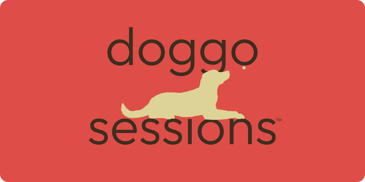 Doggo Sessions
